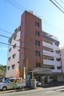 第8成田マンション【202号室】の外観