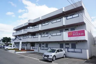 パークサイドルピナスの画像