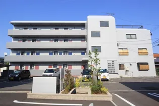 てらかわビル【203号室】の外観