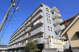 ビッグ第一ハイツ【505号室】の外観