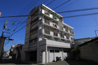 αNEXT枝松の画像