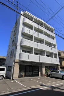 CIELO AZULの画像