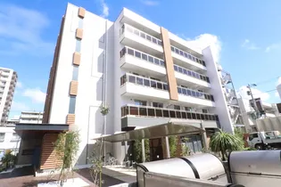 ル ミディの画像