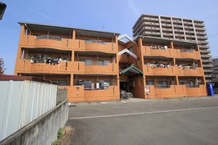 マリベージャY Jの画像