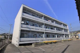 アイリッシュコート正円寺【202号室】の外観