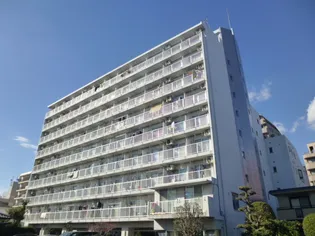 柏スカイハウス【808号室】の外観