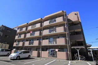 セレーノアカマツの画像