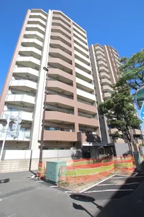 パテラ青砥の画像