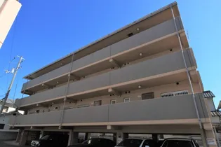 ホワイティ愛光の画像