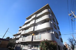 エヴァーグリーンセゾンの画像