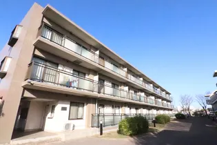 柏ビクトリーマンション壱番館の画像