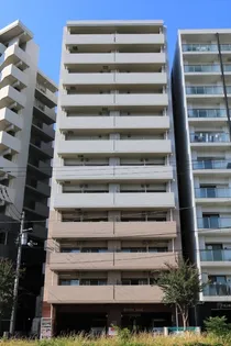 ARISTO SEEDの画像