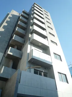 グレイスカメリアの画像