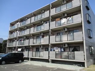 ティルオベロンの画像