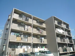 エクセレントソシアの画像