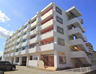 フレニール45の画像