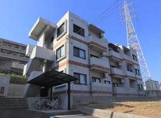 ロアジス衣山【302号室】の外観