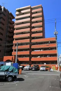 シャンボール千舟の画像