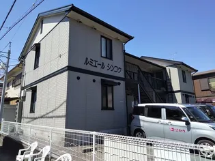 ルミエールシンコウの画像