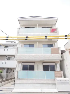 F ASECIA ODORATAの画像