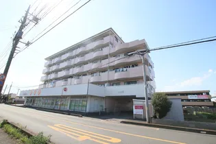 グランデ パゾの画像