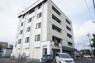 ハイムスT1の画像