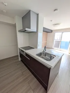 フェリシティ荒井【202号室】のキッチン