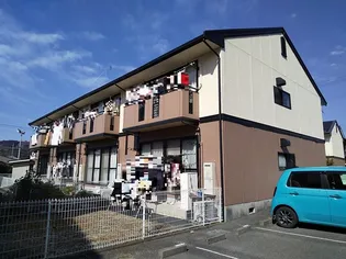 ルミエール22 C棟【205号室】の外観