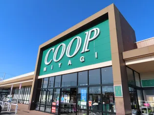 フェリシティ荒井【305号室】の周辺