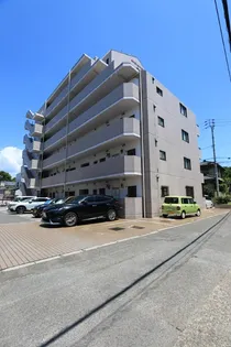 エンゼルコート21【208号室】の外観