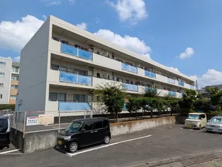 サンリバー イシイの画像