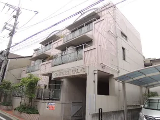 シャトレ・カルム【311号室】の外観