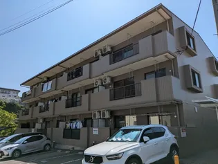 ブエナビスタ米ヶ袋の画像