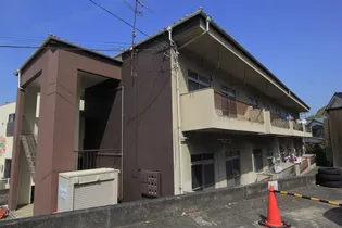 ソラーレ吉藤の画像