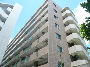 ST PALETTE57の画像