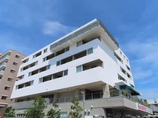 ヤマカビルの画像