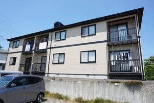 ネストSIIの画像