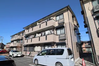 サンフラワーBの画像