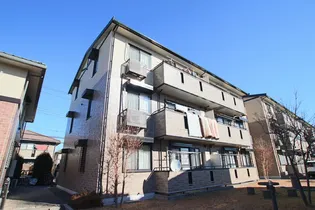 サンフラワーAの画像