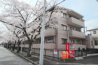 ハイプラザ桜並木B【302号室】の外観