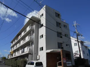 うずまさハイツ【3階】の外観