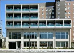 セクトールシオミの画像