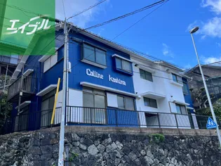 コリーヌ小島の画像