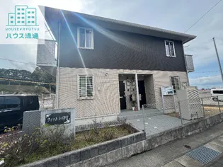 ウィットシバタIIの画像