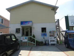 コスモスの画像