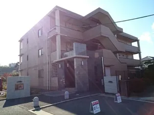 ピオニーの画像