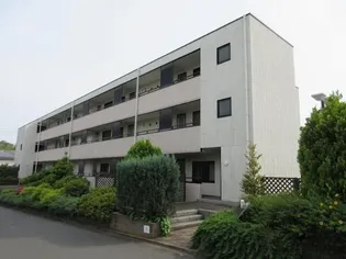 シンシアの画像