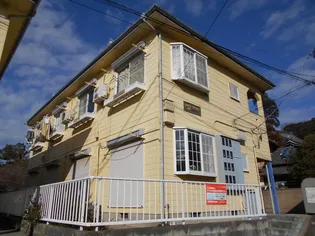 シャイングリーンの画像