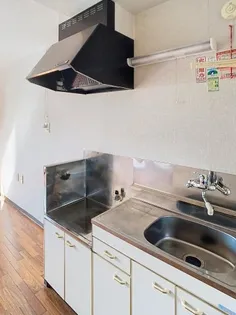 カンティレバーⅡ【202号室】のキッチン