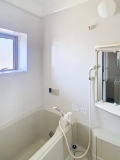 サンリッチ新橋【301号室】の風呂